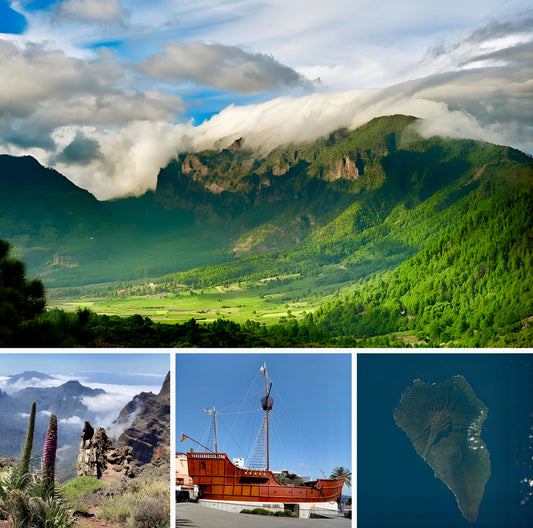 La Palma en Bus