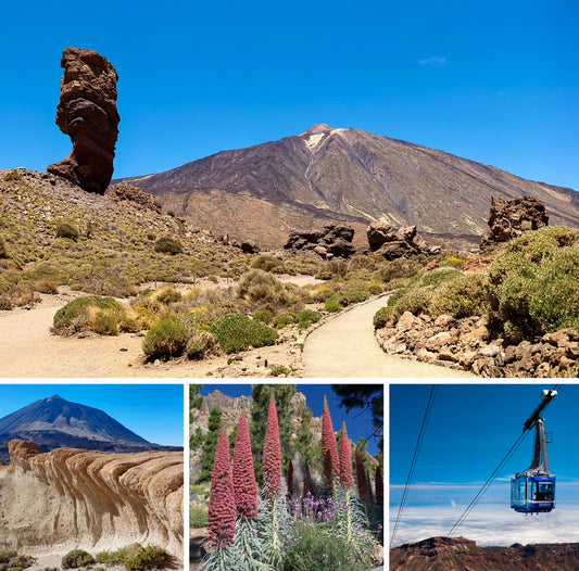 Parque Nacional del Teide en Bus