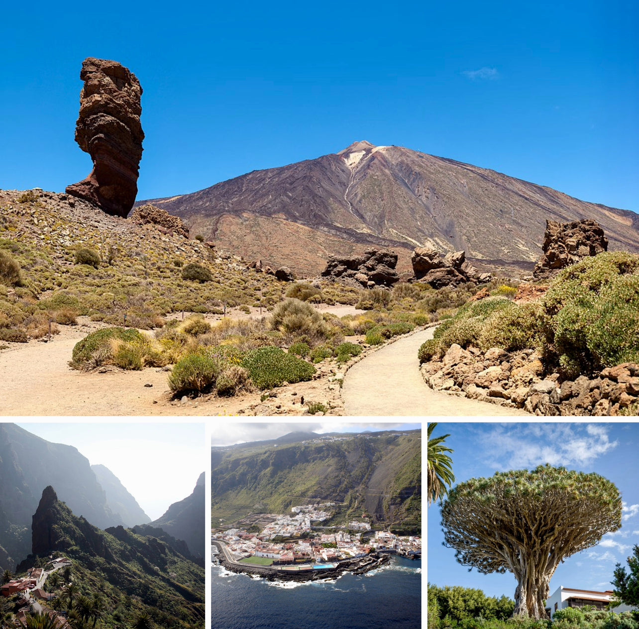 Teide y Masca en Bus