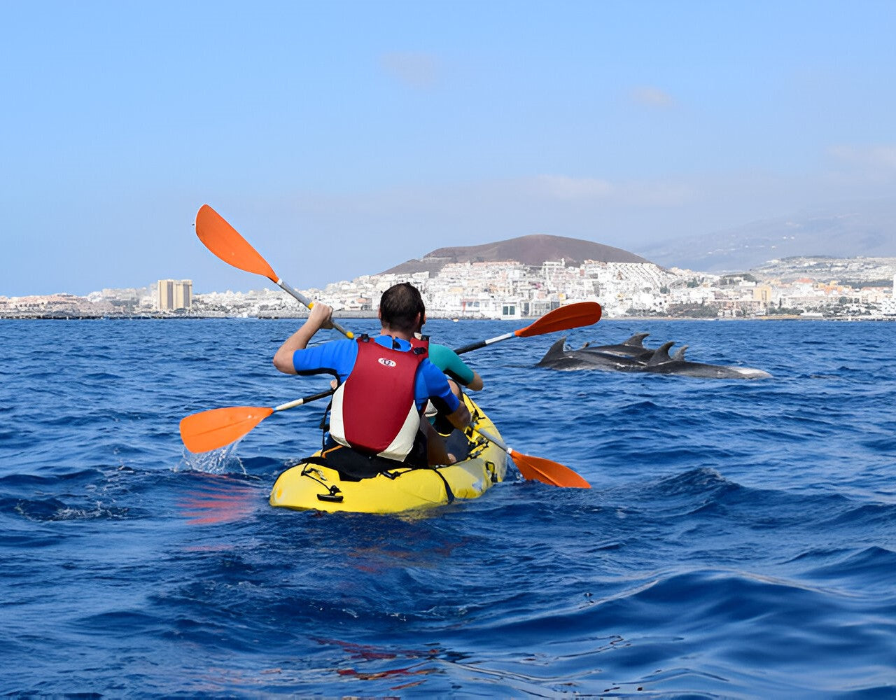 Kayak Tour