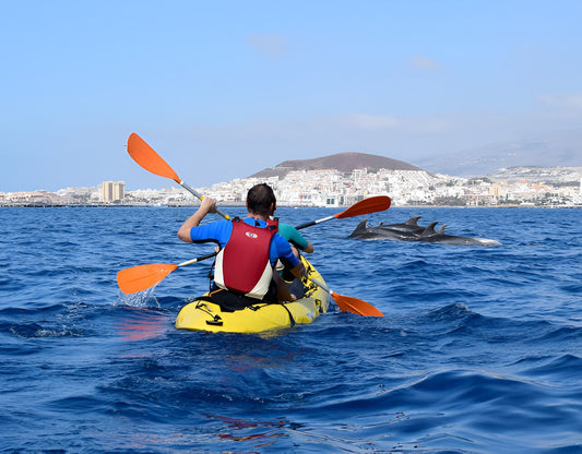 Kayak Tour